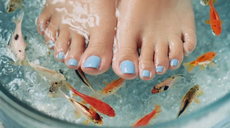 pedicura con peces.jpg