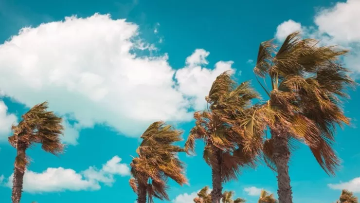 Vientos de Santa Ana en California ¿Hasta cuándo estarán en enero de 2025?