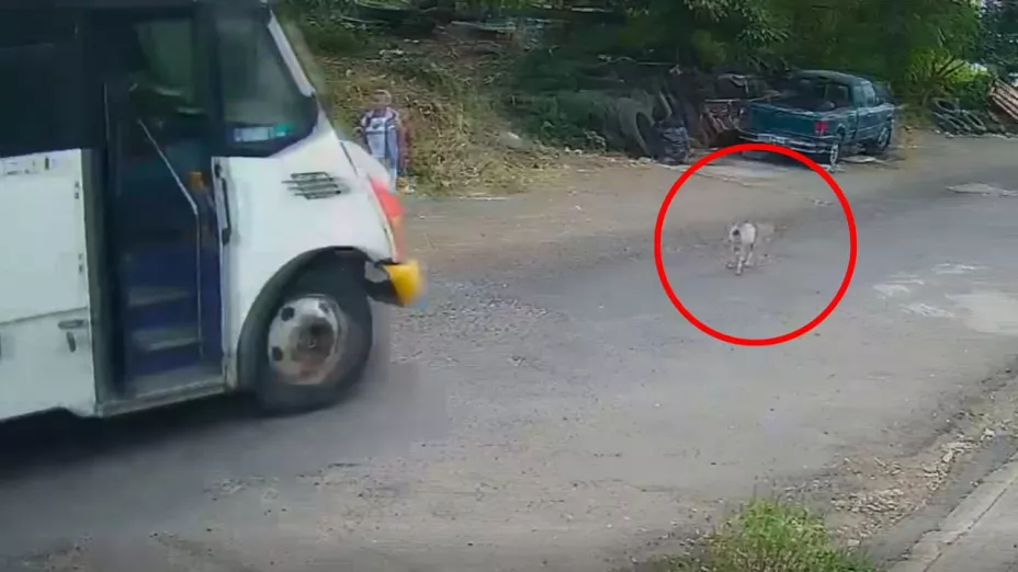 Usuarios denunciaron que esta situación se repite con frecuencia en la zona