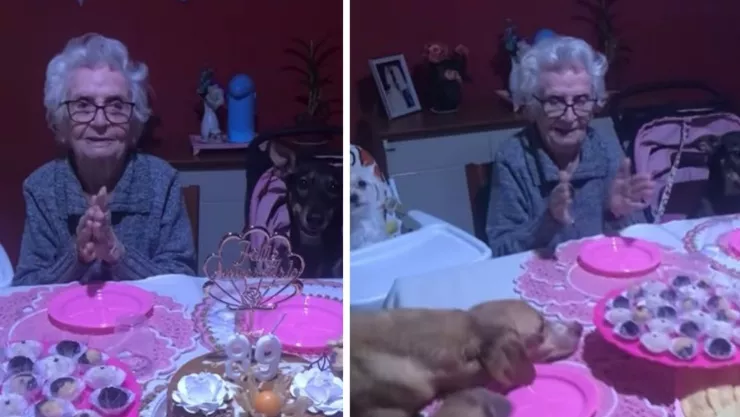 abuelita celebra su cumpleaños 89 junto a su familia de 10 perritos en brasil.jpg