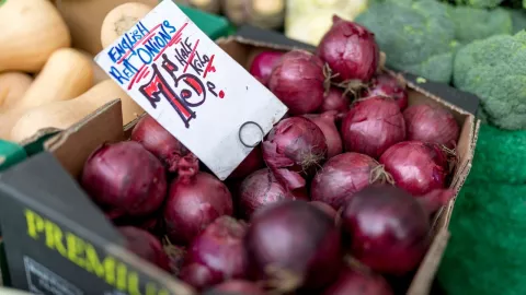 Precio de la cebolla