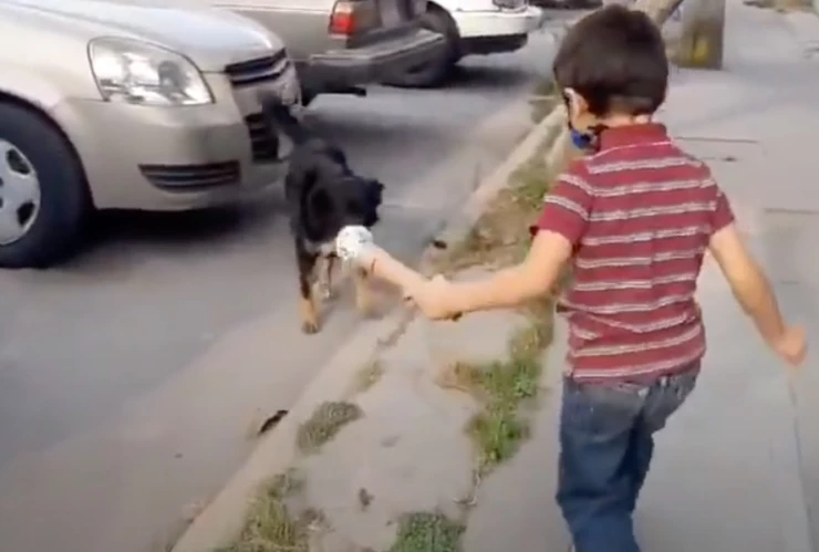niño entrevista perro calle.jpg
