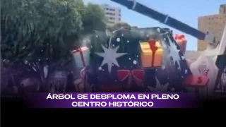 Árbol de Navidad se desploma en Centro Histórico de Brasil.