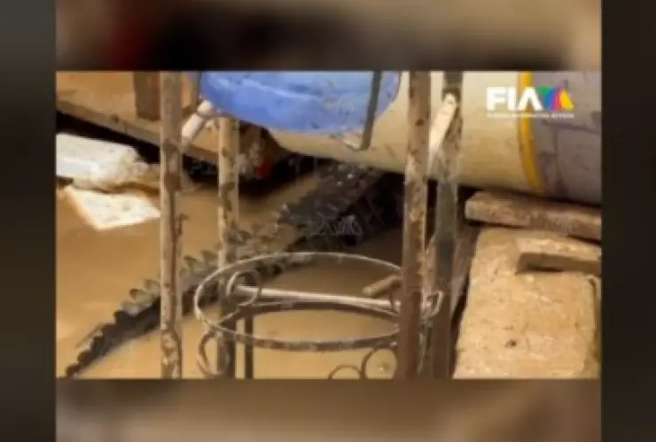 Cocodrilos casas Acapulco