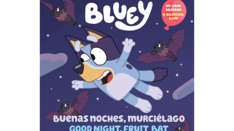 Libro para dormir de Bluey 3