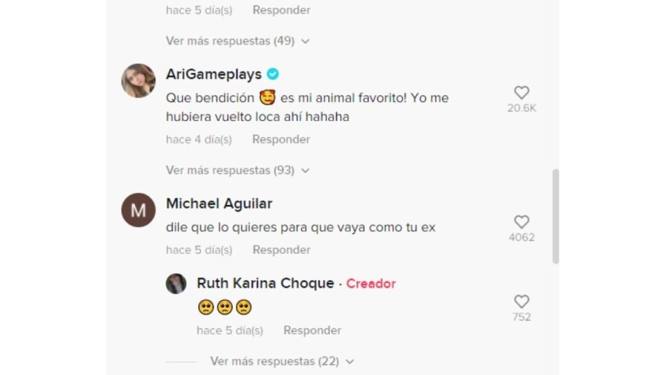 Perezoso, casa, TikTok b.jpg