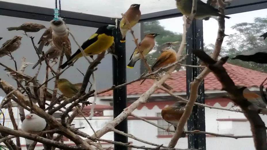 WhatsApp Image 2025-07-10 at 11..jpg