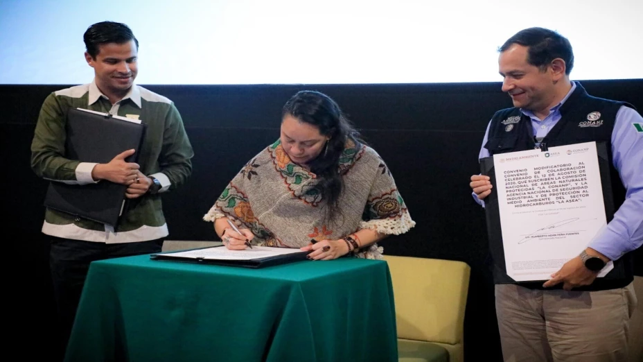 Colaboración ANP.jpg