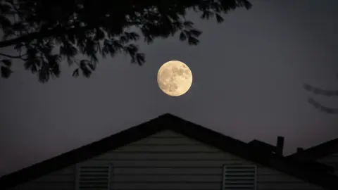 Los mejores rituales de Luna en abril, para la salud, el amor y el dinero