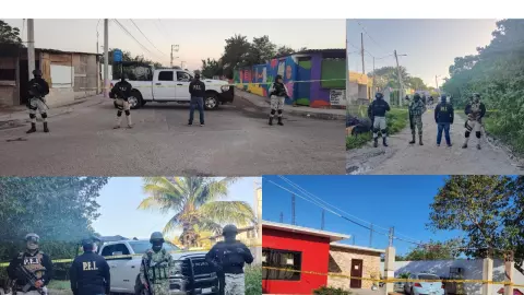 Esto se sabe de la DROGA DECOMISADA en Chicxulub Puerto y Mérida