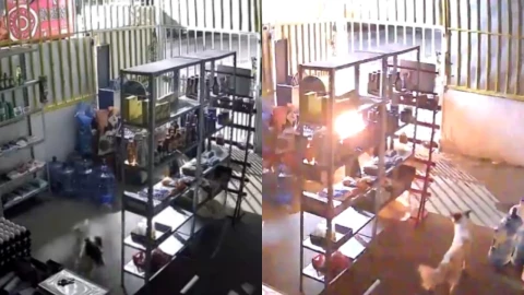 Perrita callejera Chiapas incendio salva tienda