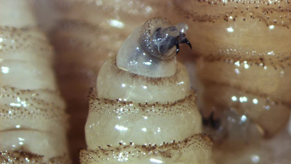 WhatsApp Image 2026-03-26 at 5.2.jpg