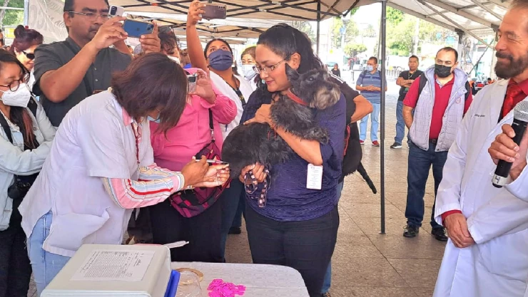 El martes 27 de junio de 2023 comenzó la jornada de vacunación antirrábica y felina de la Ciudad de México.