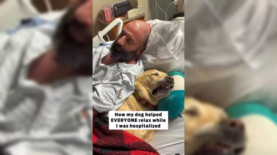 Perrito se viraliza por cuidar a su amo en el hospital (VIDEO)