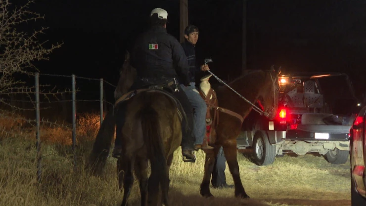 Oficiales detectaron un cráneo, y otros restos