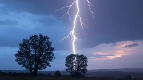 muerte familia rayo India