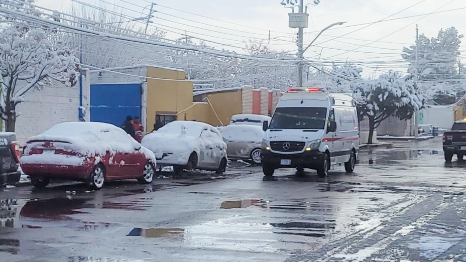 MUERTO CHIHUAHUA.jpg