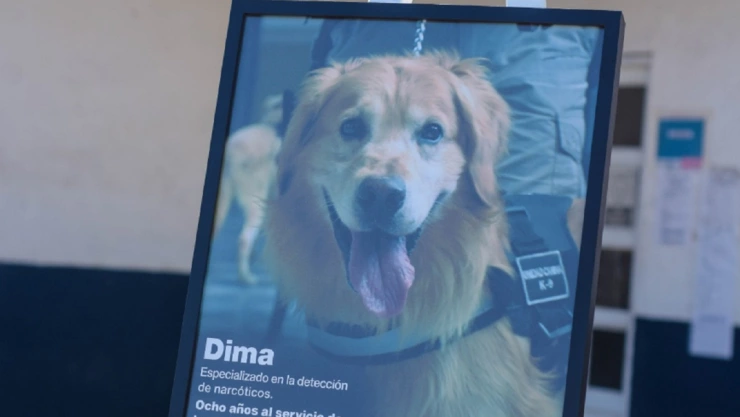 homenaje póstumo perrito policía