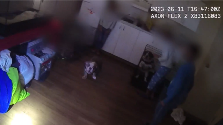 Niños en jaula las vegas