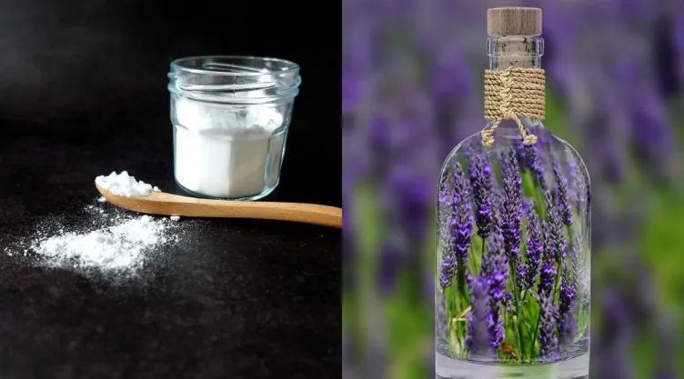 /estilo-de-vida/bicarbonato-con-lavanda-para-que-sirve-por-que-recomiendan