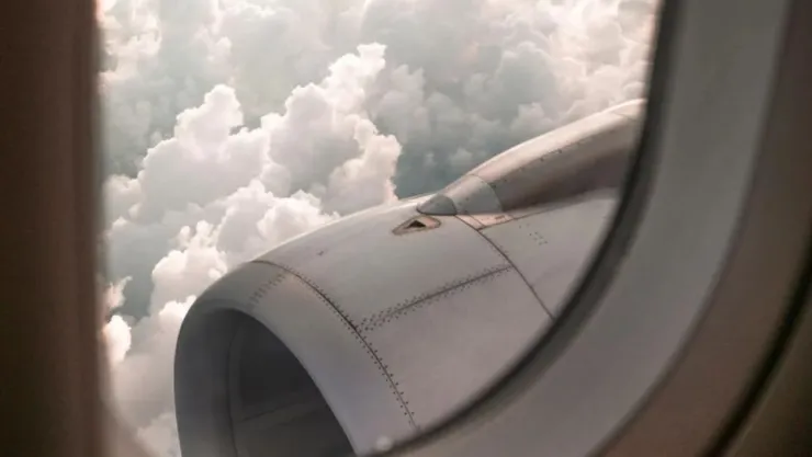 VIDEO: Así un conejo provocó el incendio de un avión en Canadá