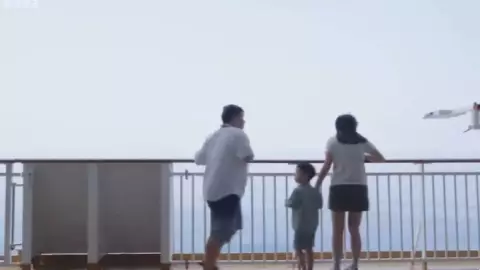 Hombre cae de crucero Norwegian Spirit y muere: VIDEO