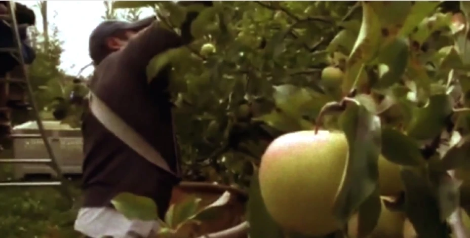 Policía capitalina redoblará la vigilancia durante la Semana Santa