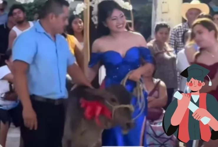 Regalan becerro en graduación