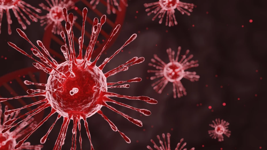 Confirman brote mortal del virus de Marburgo.