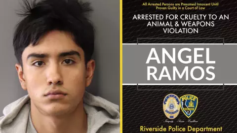 detenido-perrito-chihuahua-degolló