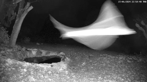 ¿Hay en Guanajuato Avistamientos, teorías y el misterio del Día Mundial del OVNI 2 de julio.png