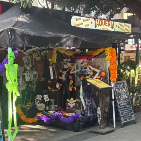 Zona Rosa 15 octubre 2026.jpg