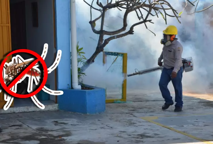 Casos de dengue en México superan los 15 mil casos acumulados; tres Estados lideran contagios.webp