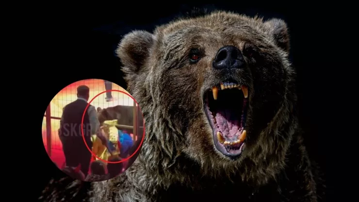 oso-ataca-circo-rusia