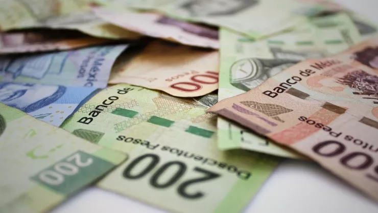 Así puedes recibir 12 mil pesos con el Apoyo al Desempleo Bienestar 2024.jpg