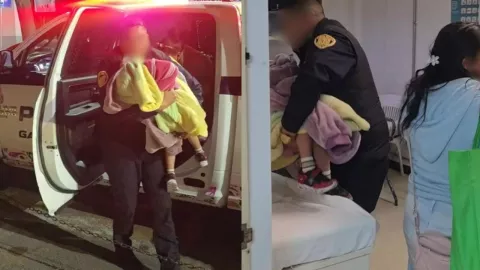 VIDEO SENSIBLE: Familia dejó a niño de 4 años encerrado con perros pitbull y fue mordido en la cara