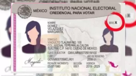 Personas no binarias podrían votar con la letra X en la INE