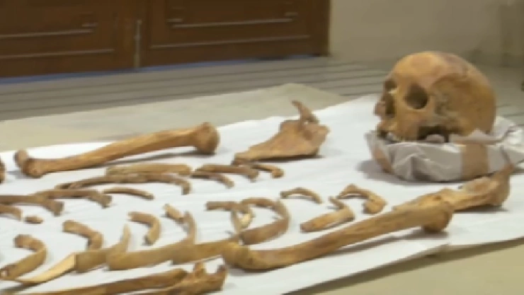 Restos oseos de Puebla.jpg