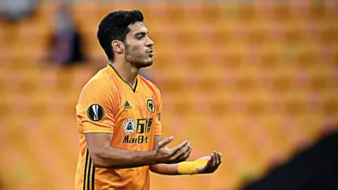 raul jimenez 