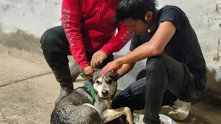 Joven y su perro son rescatados tras caer a canal pluvial en Guadalajara