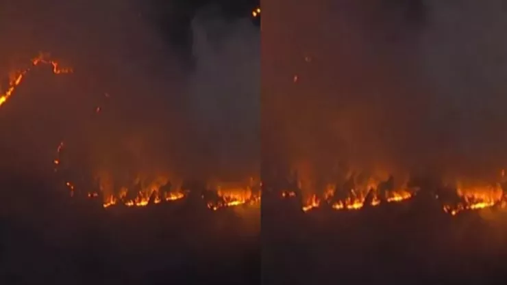 Incendios forestales en Japón este marzo de 2025: Evacuan a miles de personas por el avance de las llamas