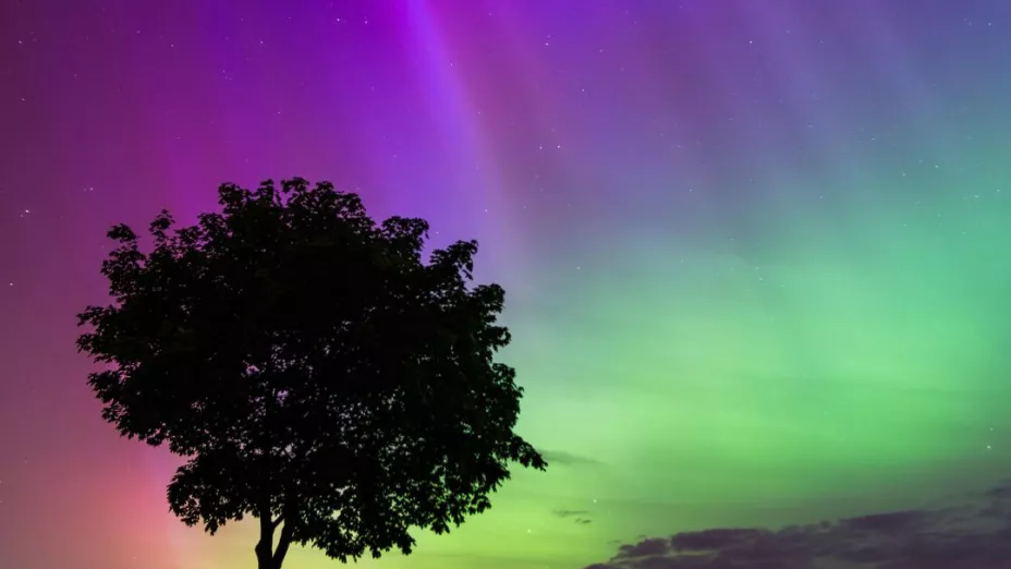 Nueva Tormenta Solar 2024 podría provocar más auroras boreales en México; esto sabemos