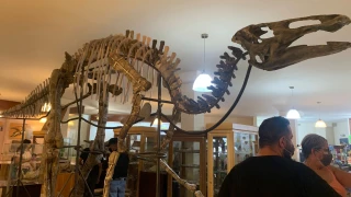 Museo del desierto en Chihuahua