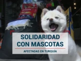 Hacen colecta de alimento para ayudar a mascotas en Turquía.jpg