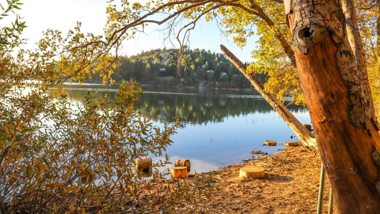 Paisaje de otoño en California
