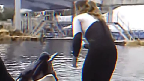 Muere entrenadora por ataque de orca, ¿quién era Dawn Brancheau.png