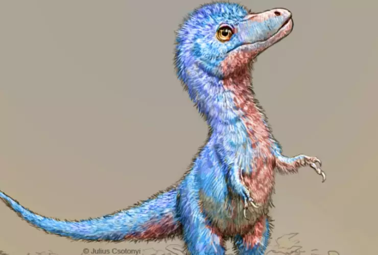 tiranosaurio bebe dibujo