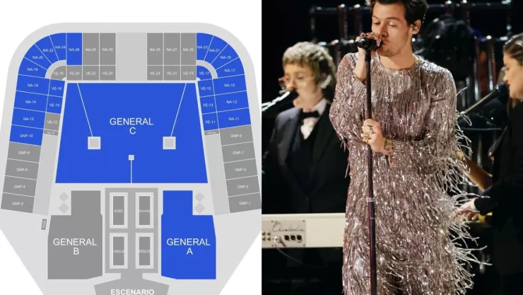 Harry Styles Estadio GNP