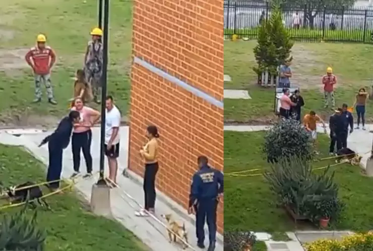 Pitbull mata a otro perro