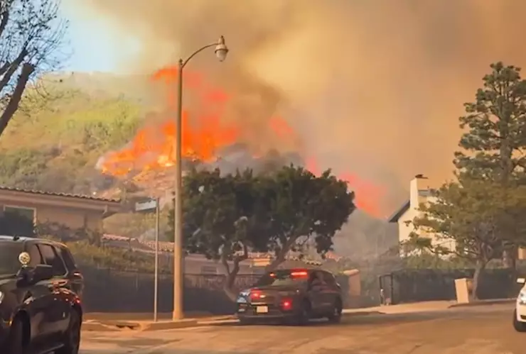 Incendios devastan California, severos daños en Los Ángeles 8 de enero 2025